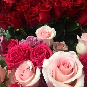 Meet your Posher, Bernice